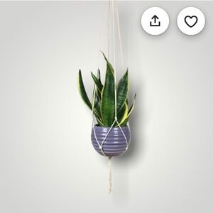 Minimalist Macrame Plant Hanger - 60”